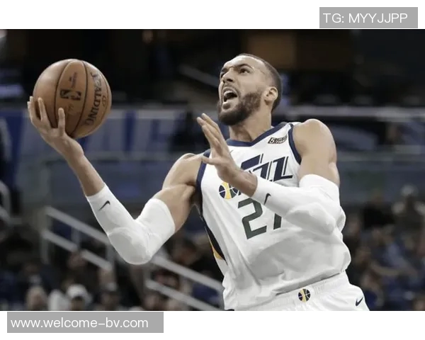 戈贝尔家庭再添新成员球迷热议狼记的信心与期待 戈贝尔家庭再添新成员球迷热议狼记的信心与期待